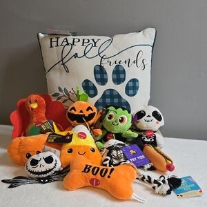 Halloween Themed Pet Toys and Pillow Set